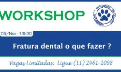 Workshop (05/11) – Fratura Dental o que fazer ?