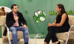 A Sorriso Animal participou do programa Meu Amigo Pet